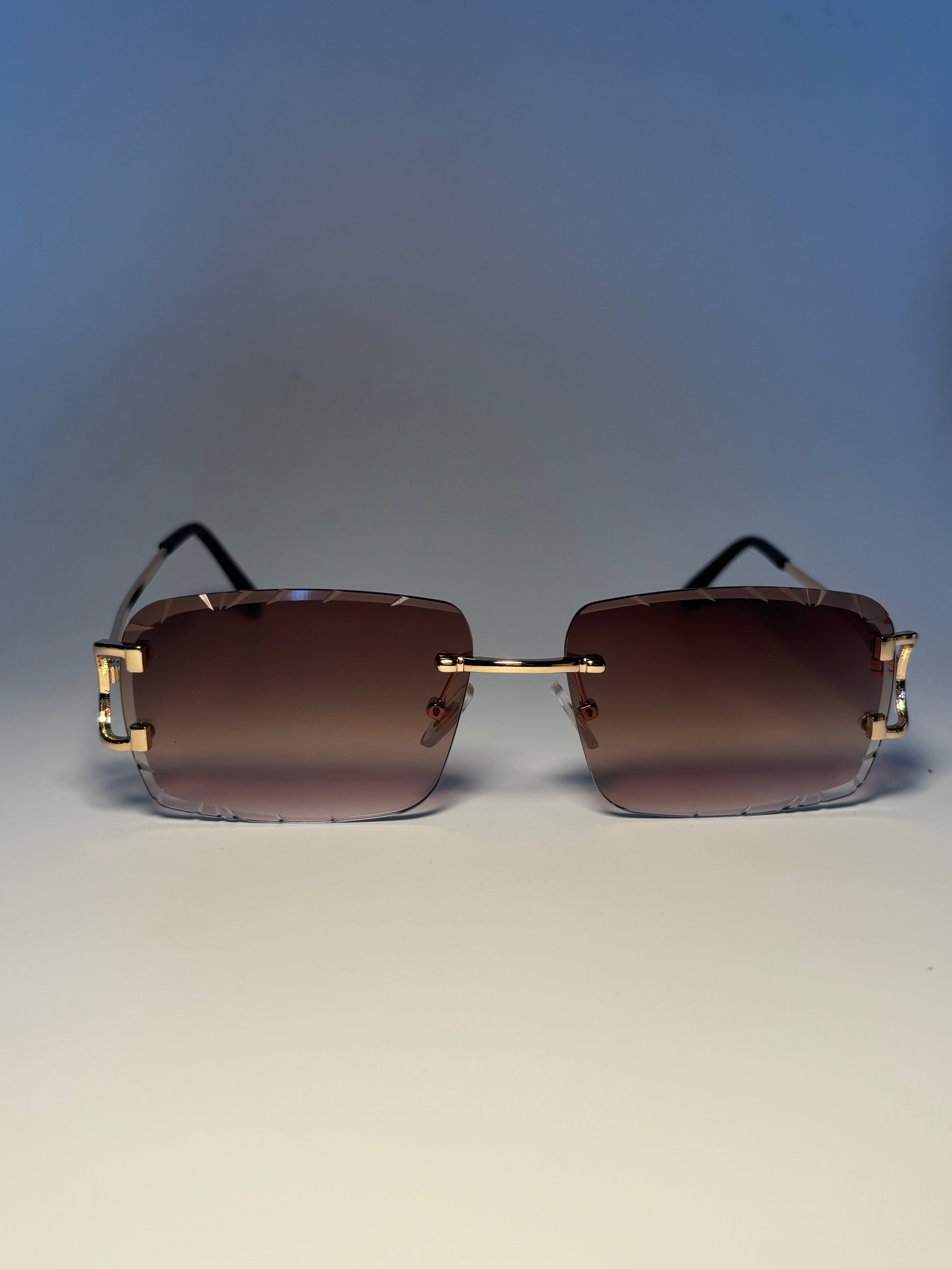 Lunette de soleil Vision élite marron