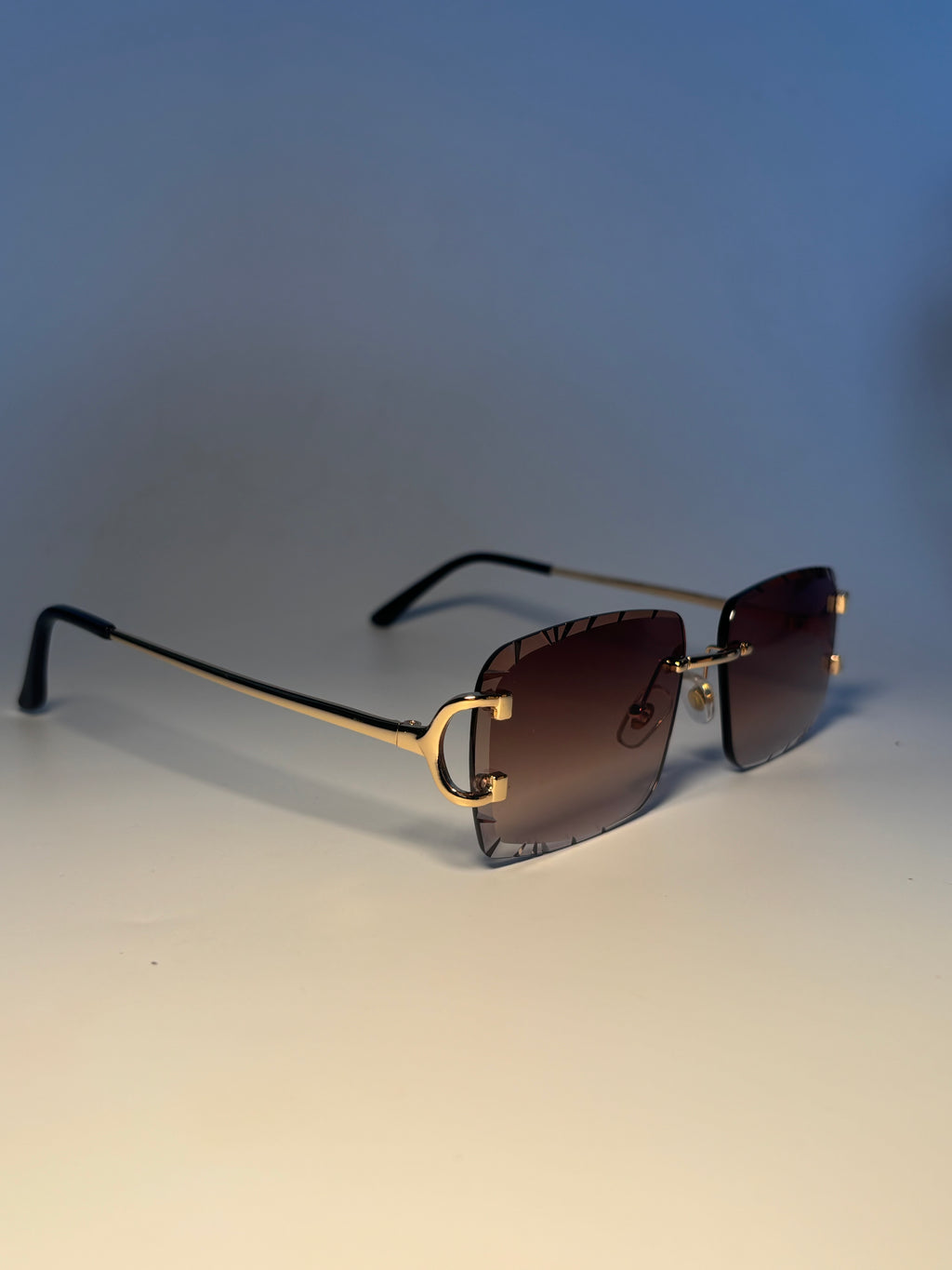 Lunette de soleil Vision élite marron