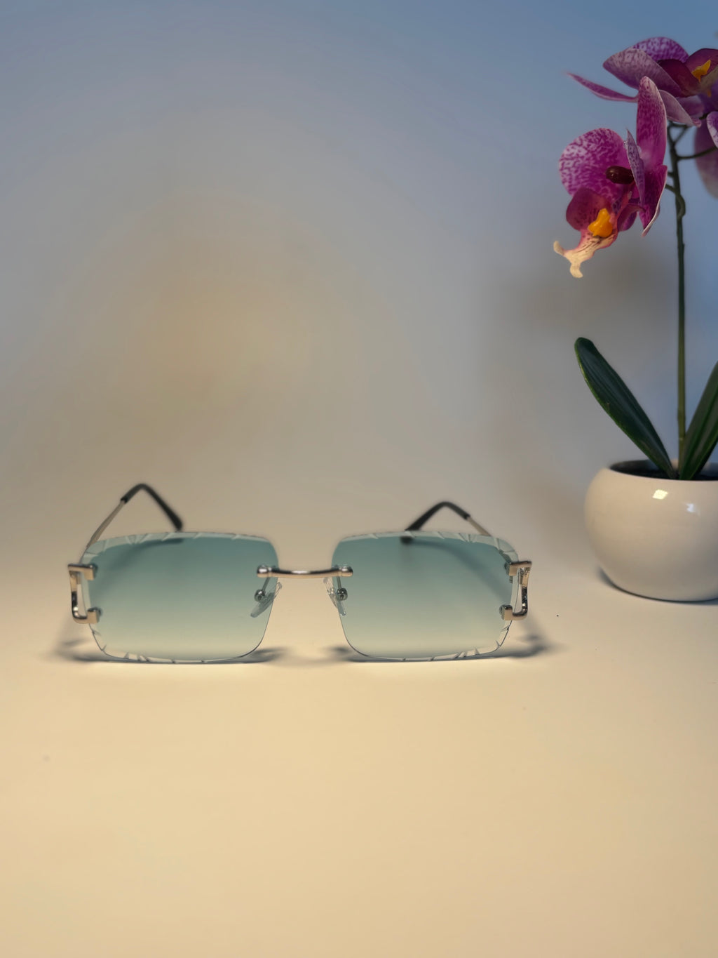 Lunette de soleil Vision élite bleu