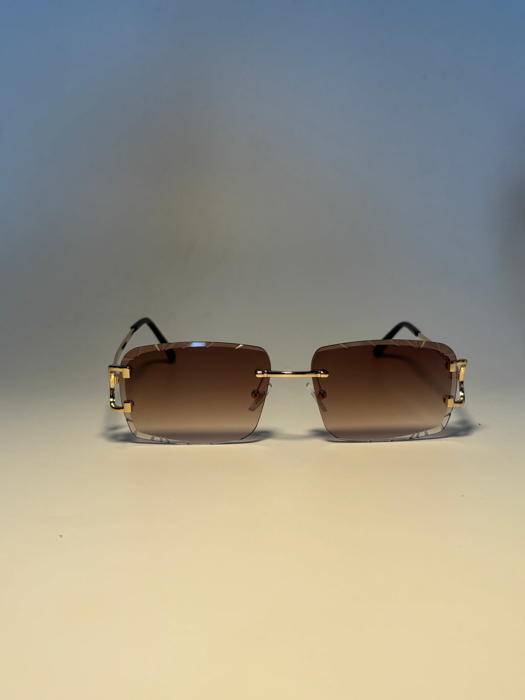 Lunette de soleil Vision élite marron