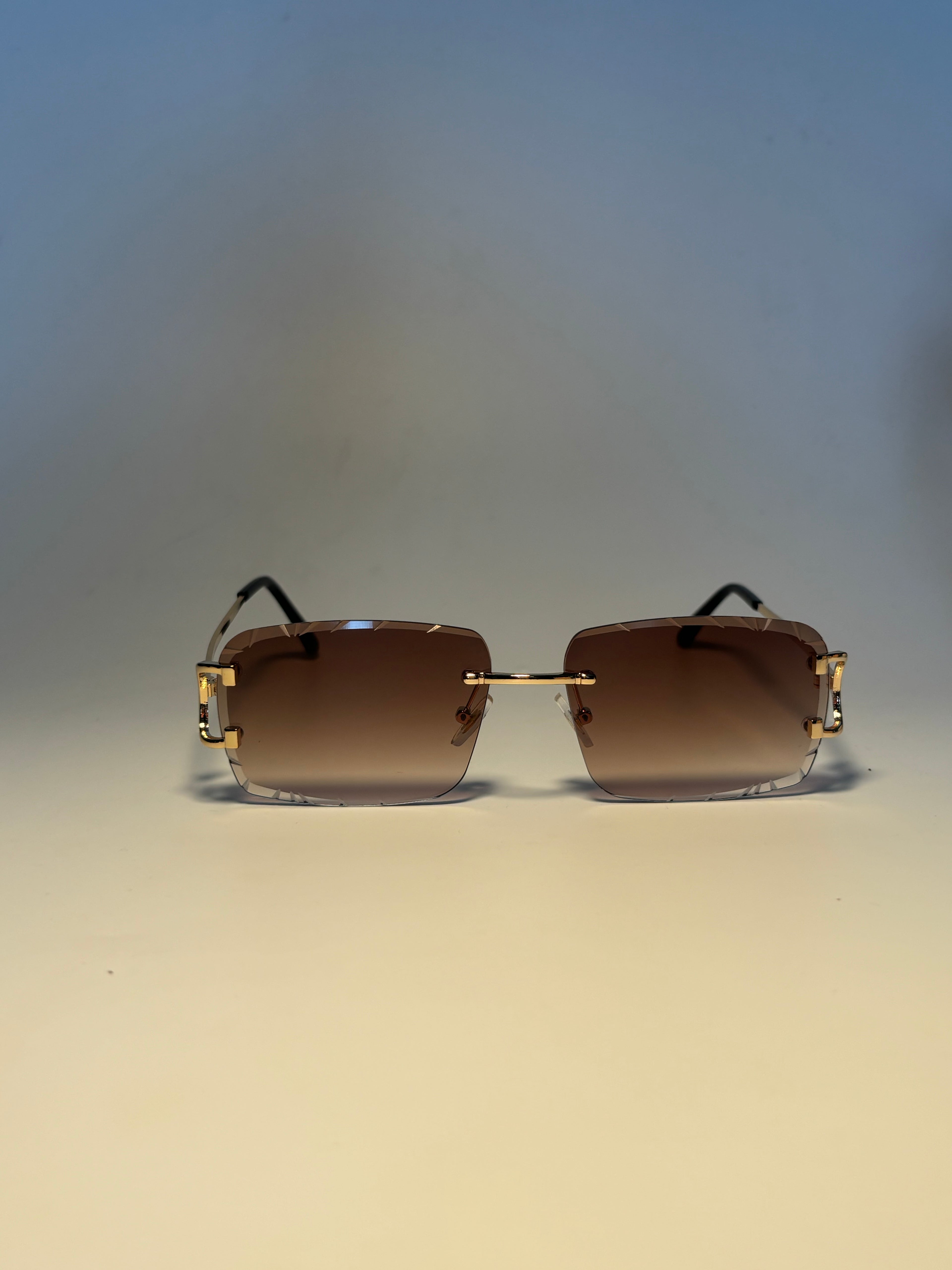 Lunette de soleil Vision élite marron