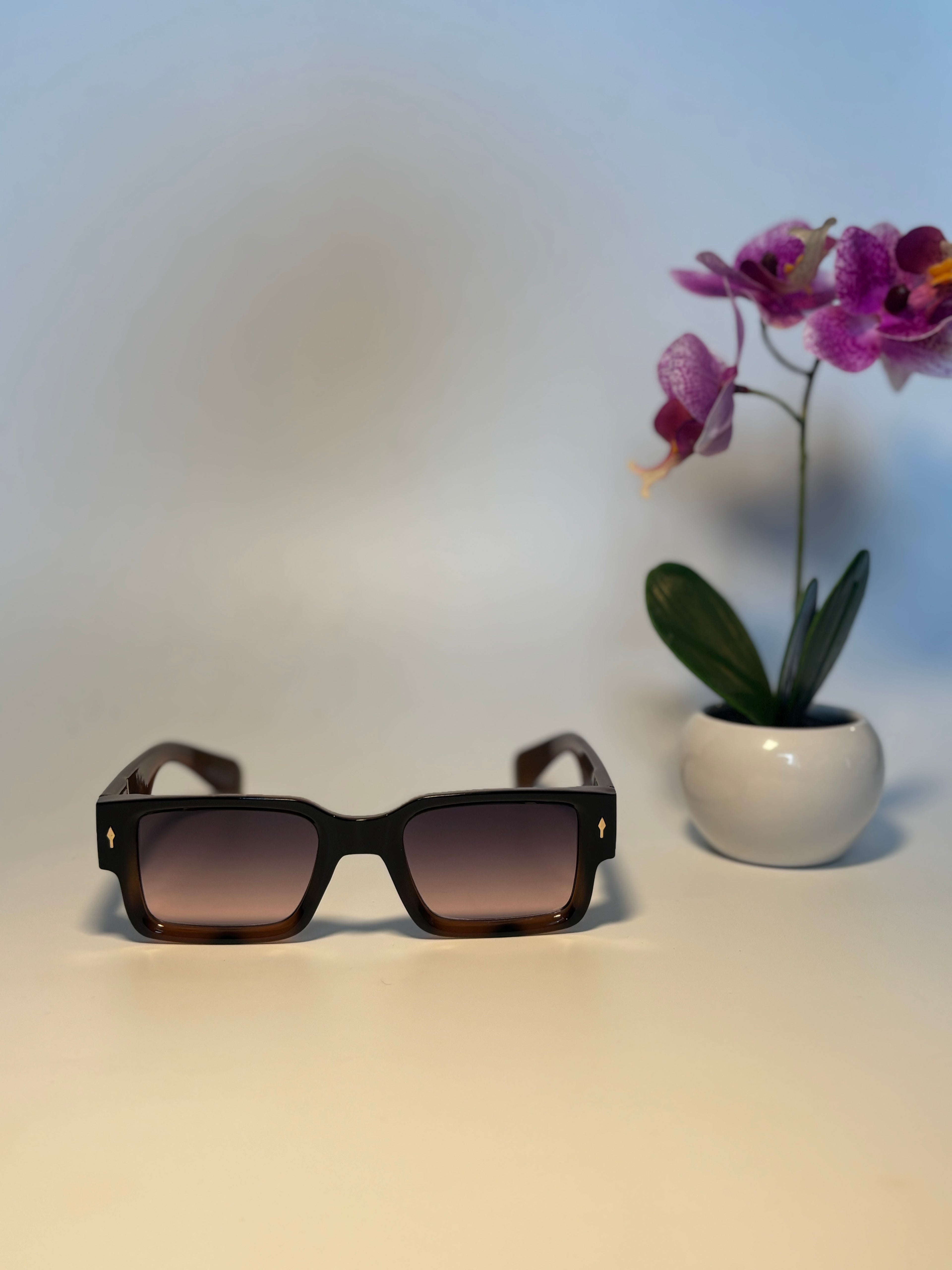 Lunette de soleil Vision street marron