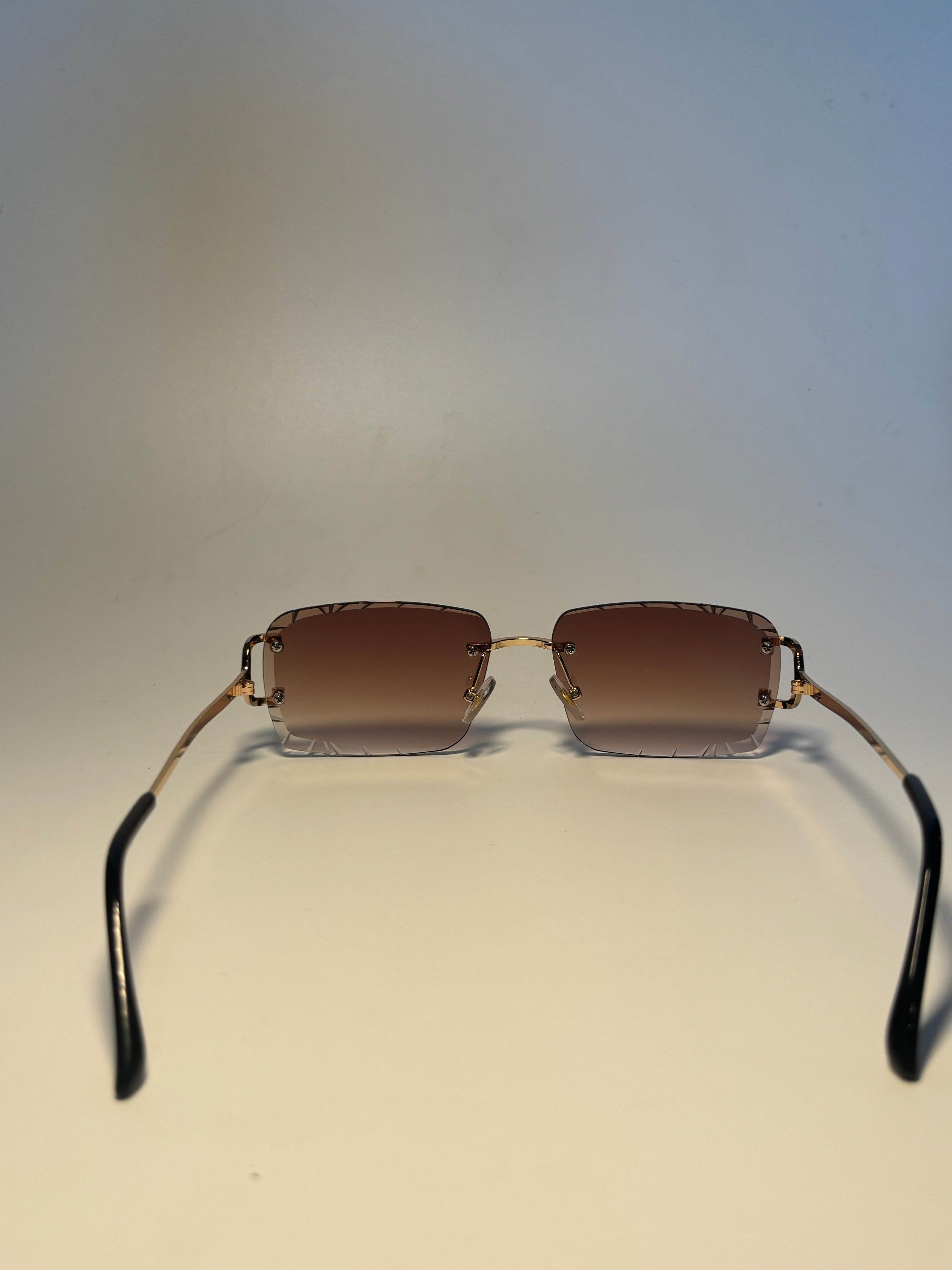 Lunette de soleil Vision élite marron