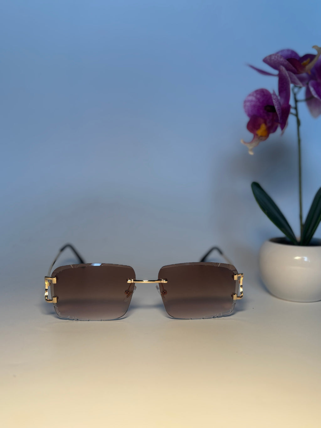 Lunette de soleil Vision élite marron