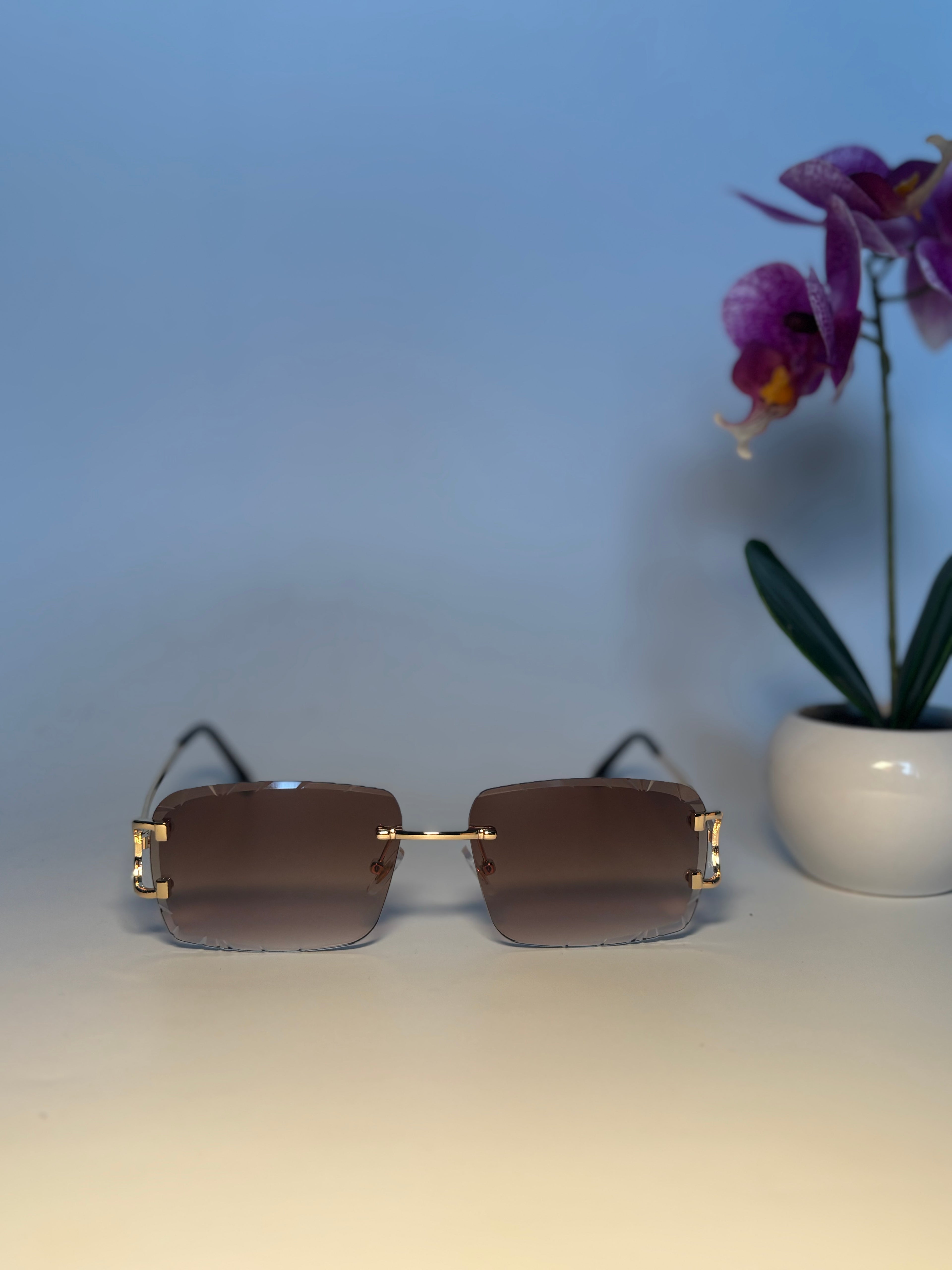 Lunette de soleil Vision élite marron
